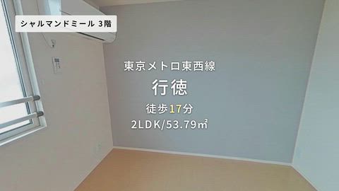 動画