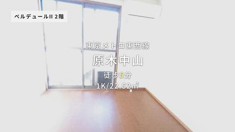 動画