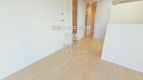 動画