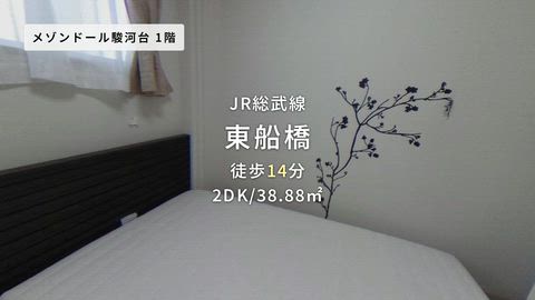 紹介ムービー