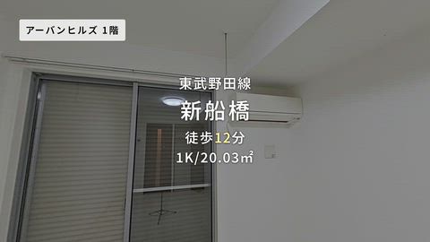 動画