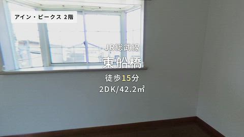 動画