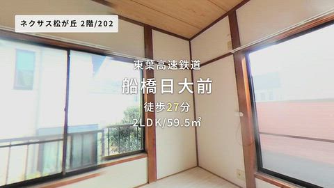 動画