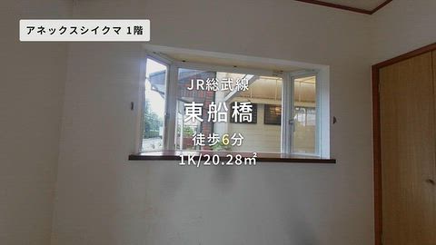動画