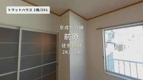 動画