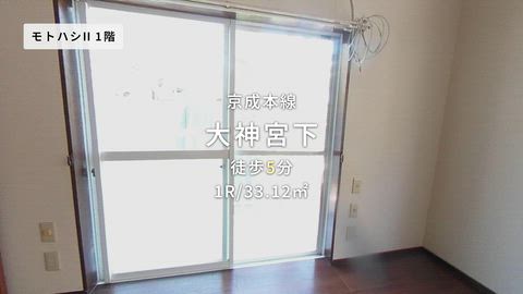 動画