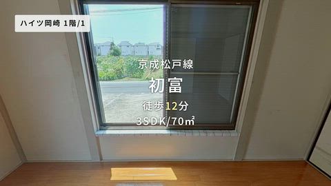 動画