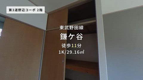 動画