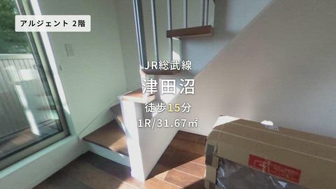 動画