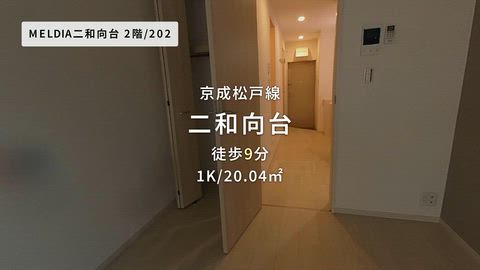 動画