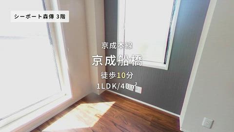 動画