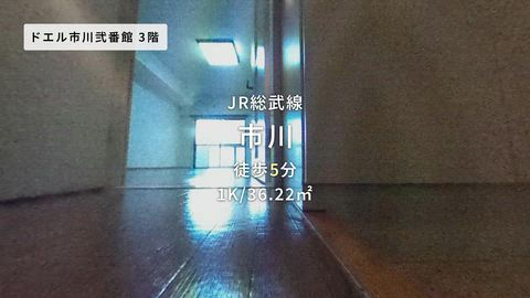 紹介ムービー
