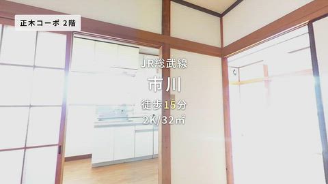 動画
