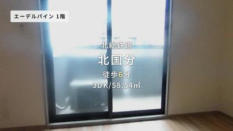 紹介ムービー