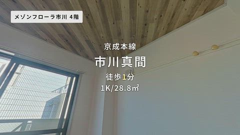 動画