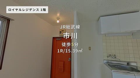 動画