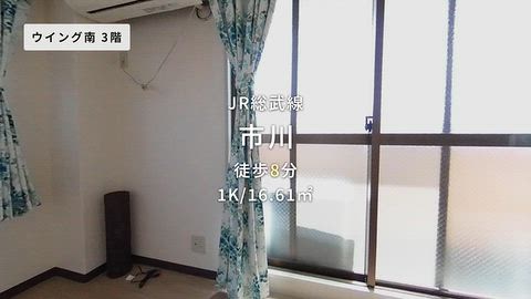 動画