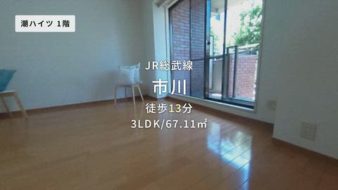 紹介ムービー