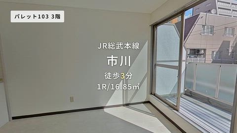 動画