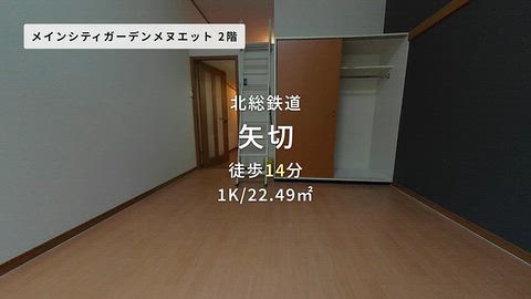 動画