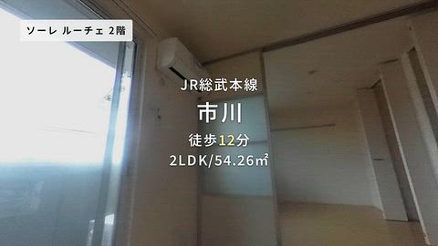 動画