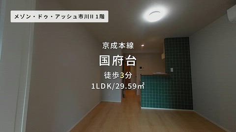 動画