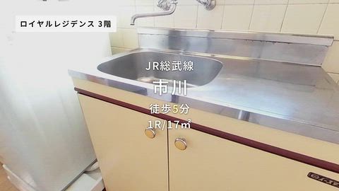 動画