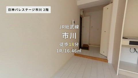 動画
