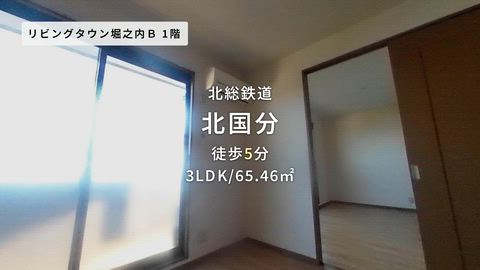 紹介ムービー