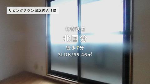 紹介ムービー