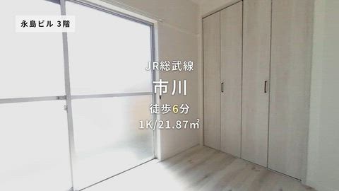 動画