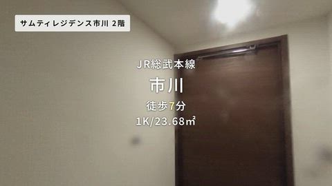動画