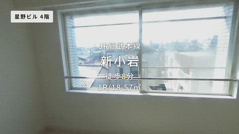 動画
