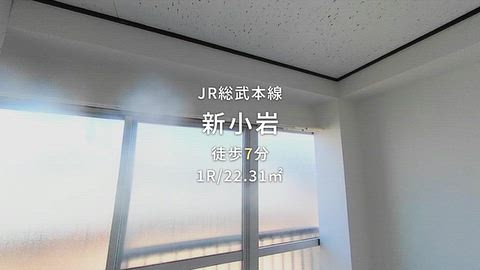 動画