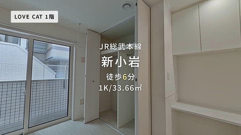動画