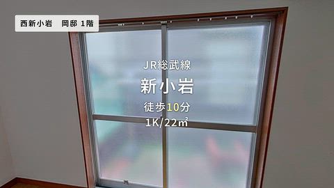 動画