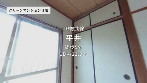 動画