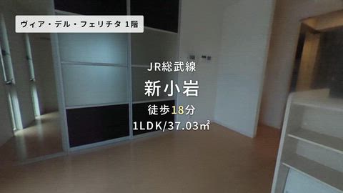 動画