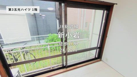 動画