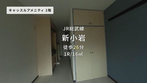 動画