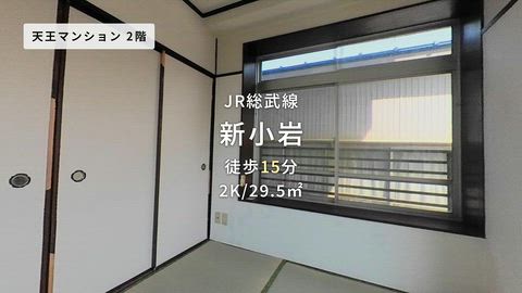 動画