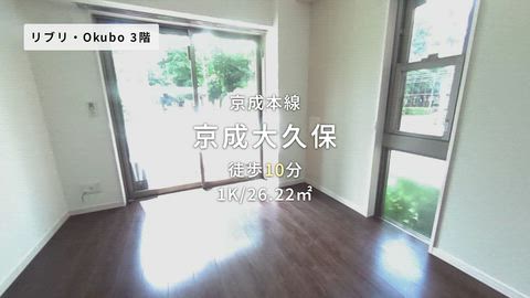 動画