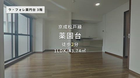 動画