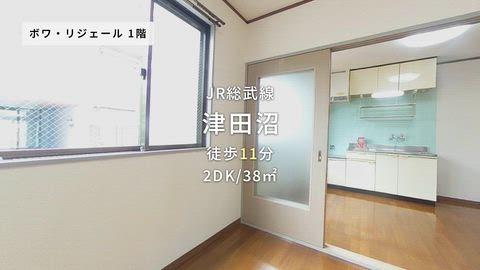 動画