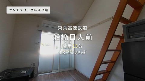 動画