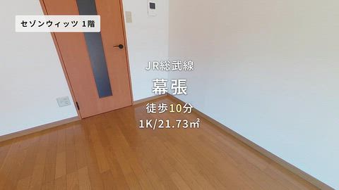 動画