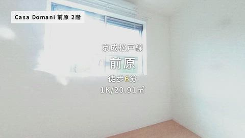 動画