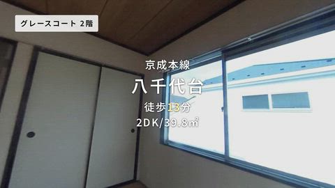 動画