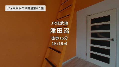動画