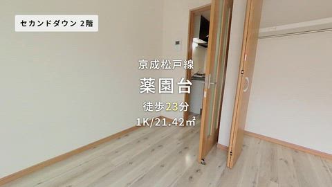 動画